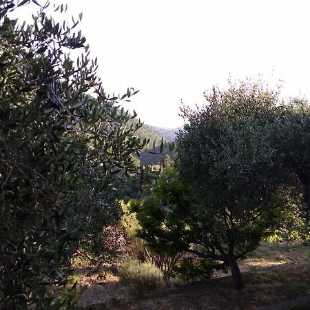 La Porta Del Sole Appartamento Nell'Oliveto Seborga Eksteriør bilde