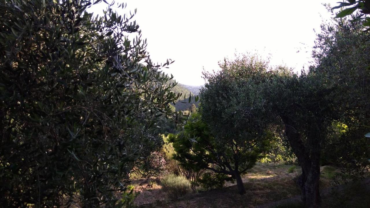 La Porta Del Sole Appartamento Nell'Oliveto Seborga Eksteriør bilde